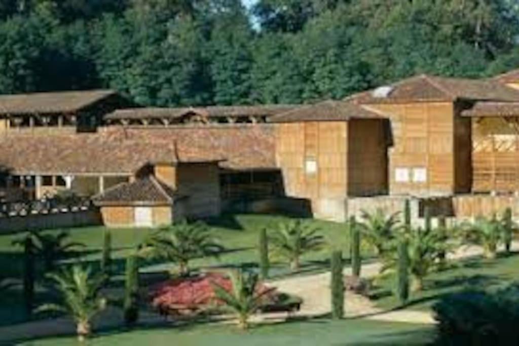 Maison Avec Piscine Proche Des Thermes Mauleon-D'armagnac ภายนอก รูปภาพ
